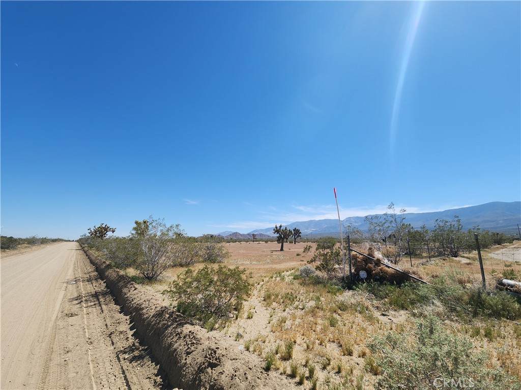 30600 Morningside Street - Photo 1
