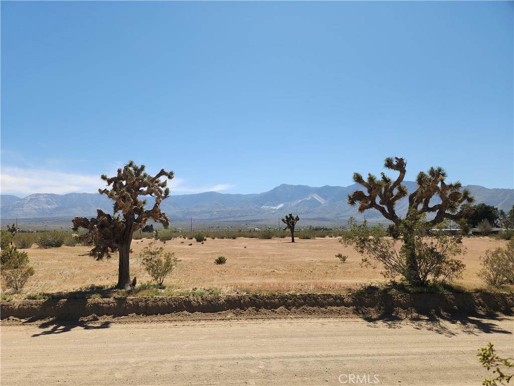 https://bt-photos.global.ssl.fastly.net/socal/orig_boomver_1_420651519-2.jpg