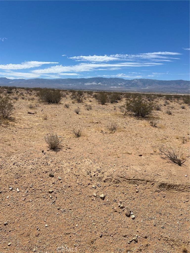 0 Dale Evans Parkway - Photo 1