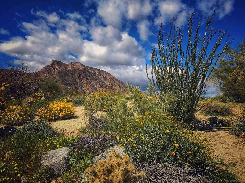 0 Palm Canyon Dr. - Photo 1