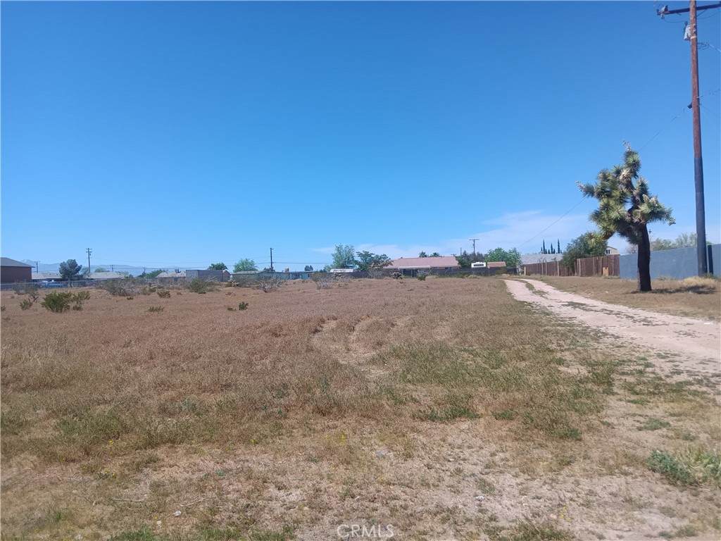 0 Hesperia - Photo 1