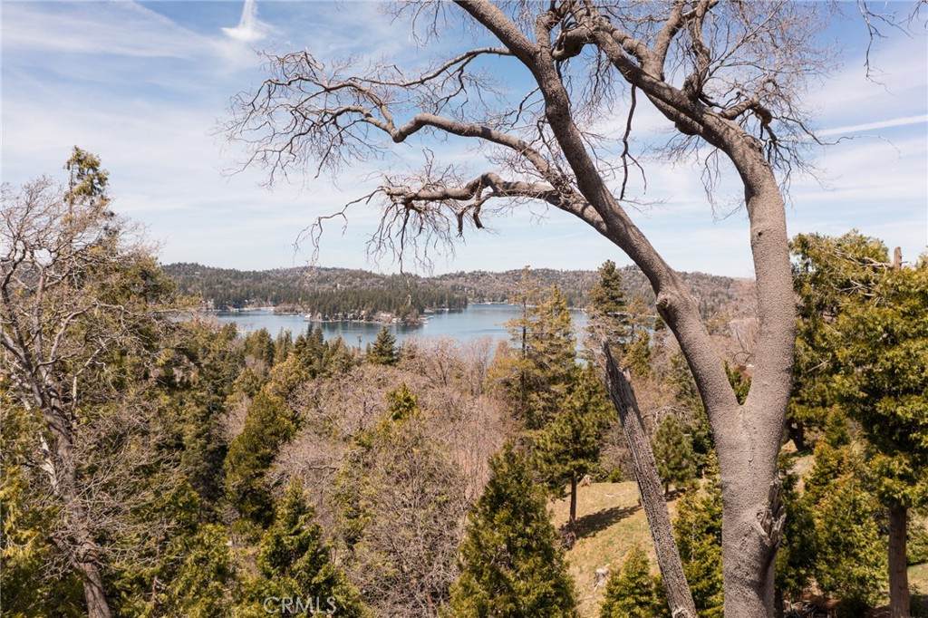 226 Hidden Forest Road - Photo 1