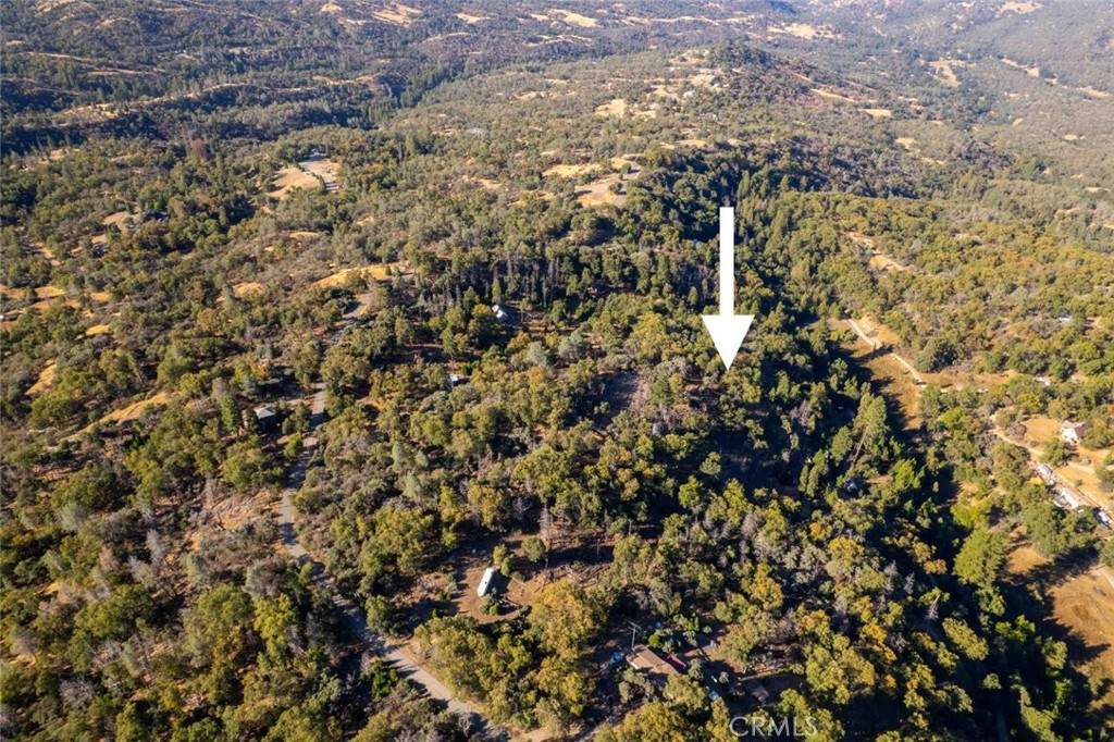 44989 Mcclenny Drive - Photo 1