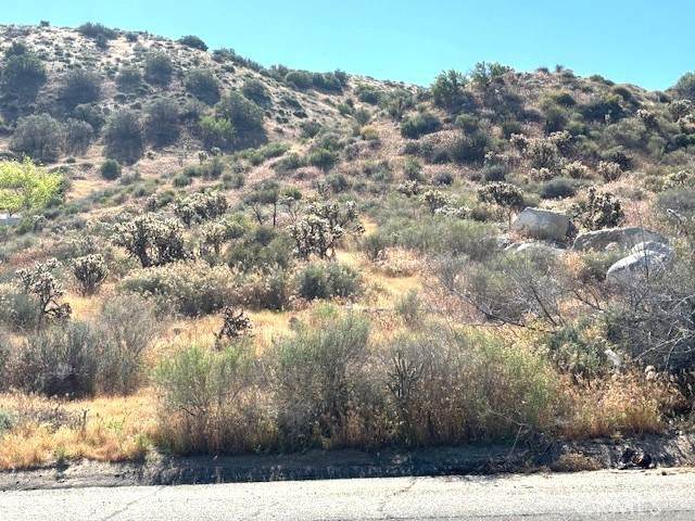 54025 Ridge Road - Photo 1