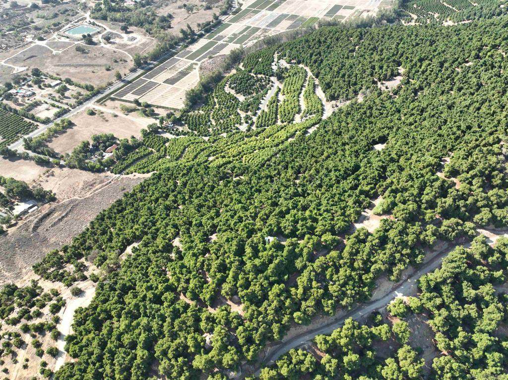 32375 Sam's Mountain Road - Photo 1