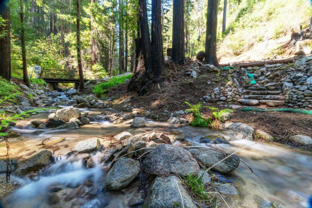 11800 Clear Creek Road - Photo 1