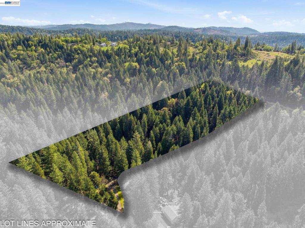 5890 Starkes Grade Rd - Photo 1