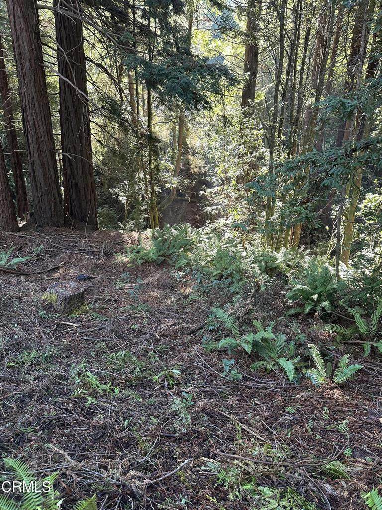 17500 Redwood Springs Drive - Photo 1