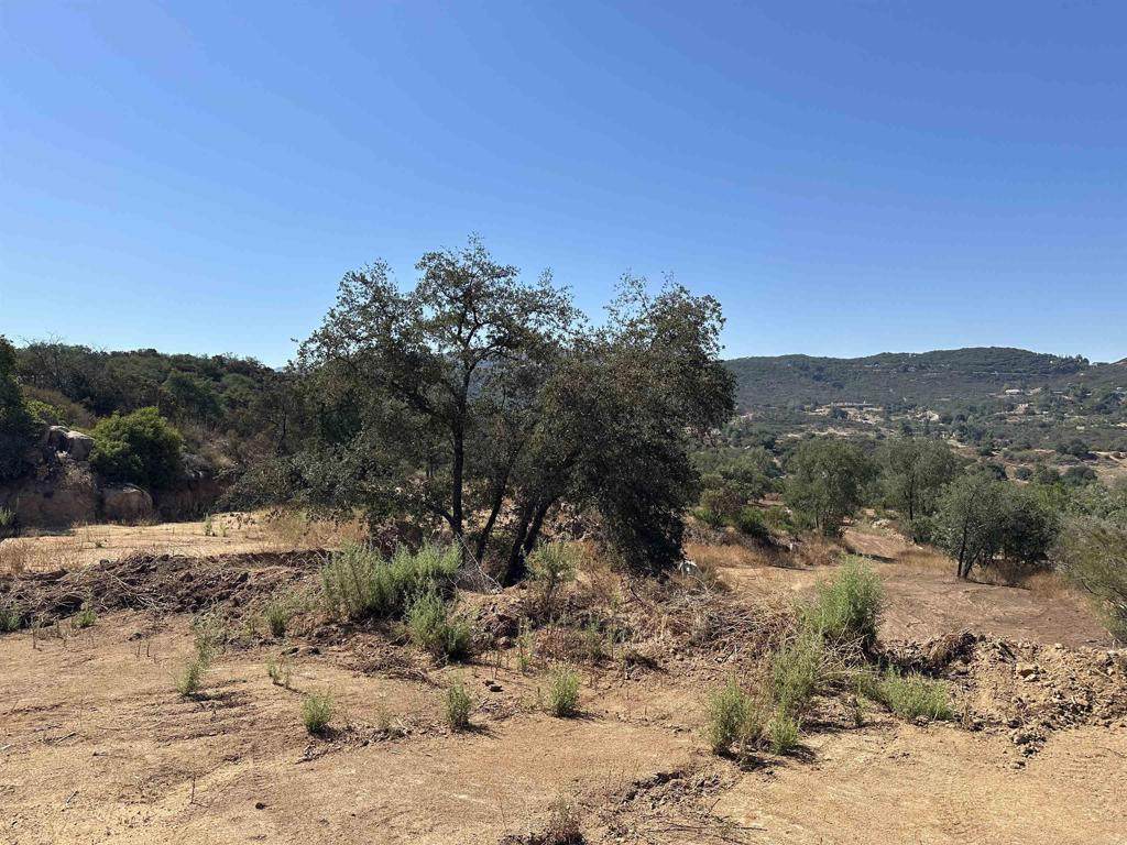 16223 Lawson Valley Road - Photo 1