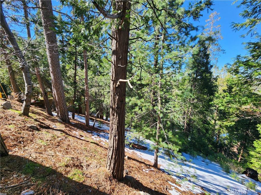 26236 Boulder Lane - Photo 1