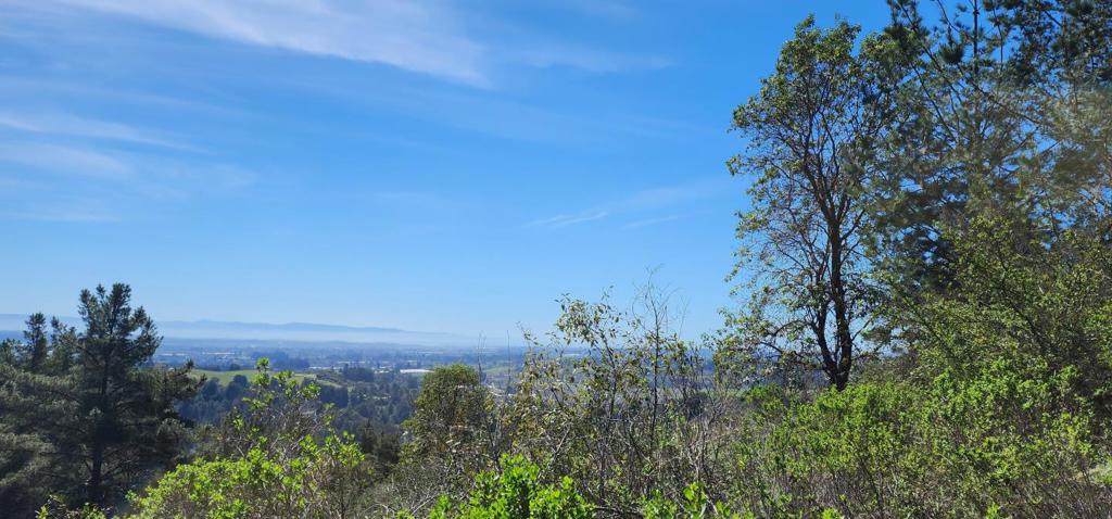 https://bt-photos.global.ssl.fastly.net/socal/orig_boomver_1_421269175-2.jpg