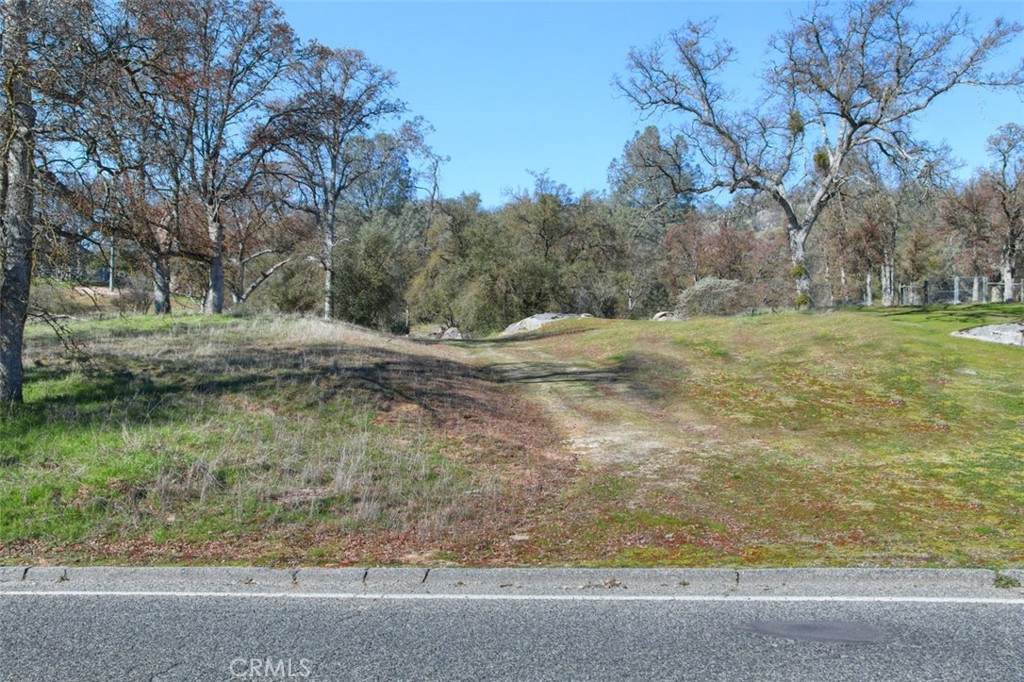 0 Long Hollow Drive - Photo 1