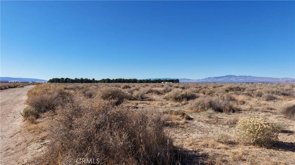 https://bt-photos.global.ssl.fastly.net/socal/orig_boomver_1_421365236-2.jpg
