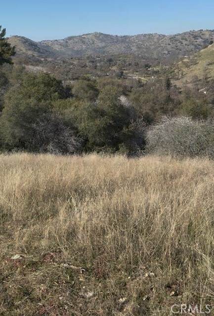 0 Chuckwagon Road - Photo 1