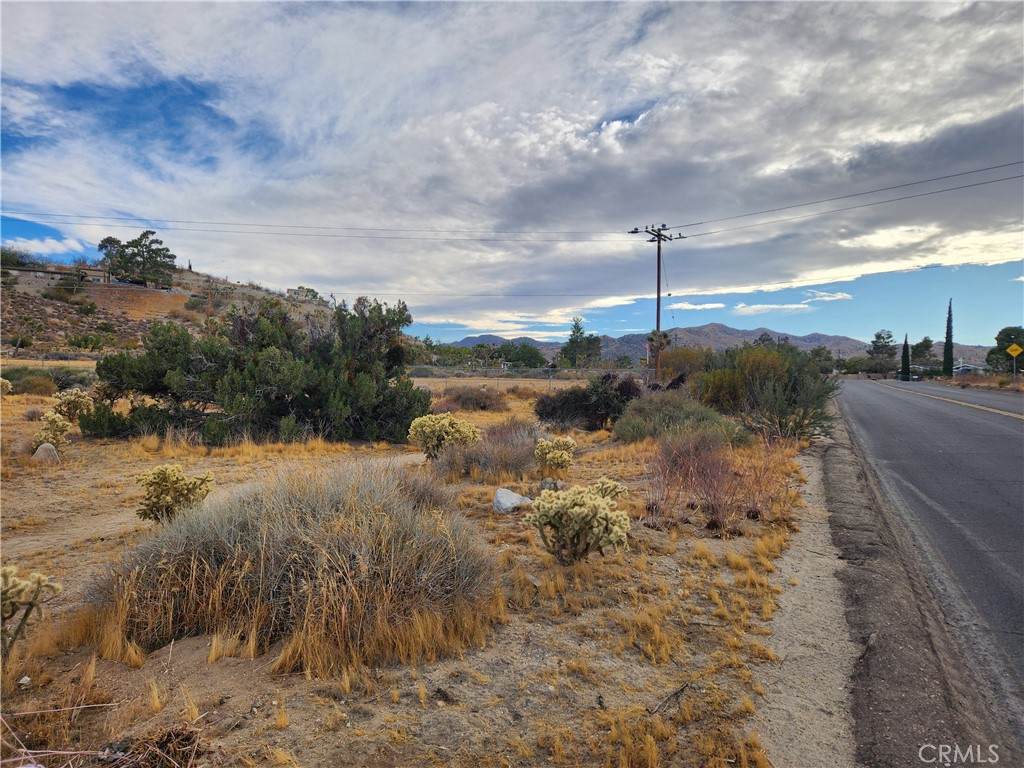 164 Joshua Lane - Photo 1