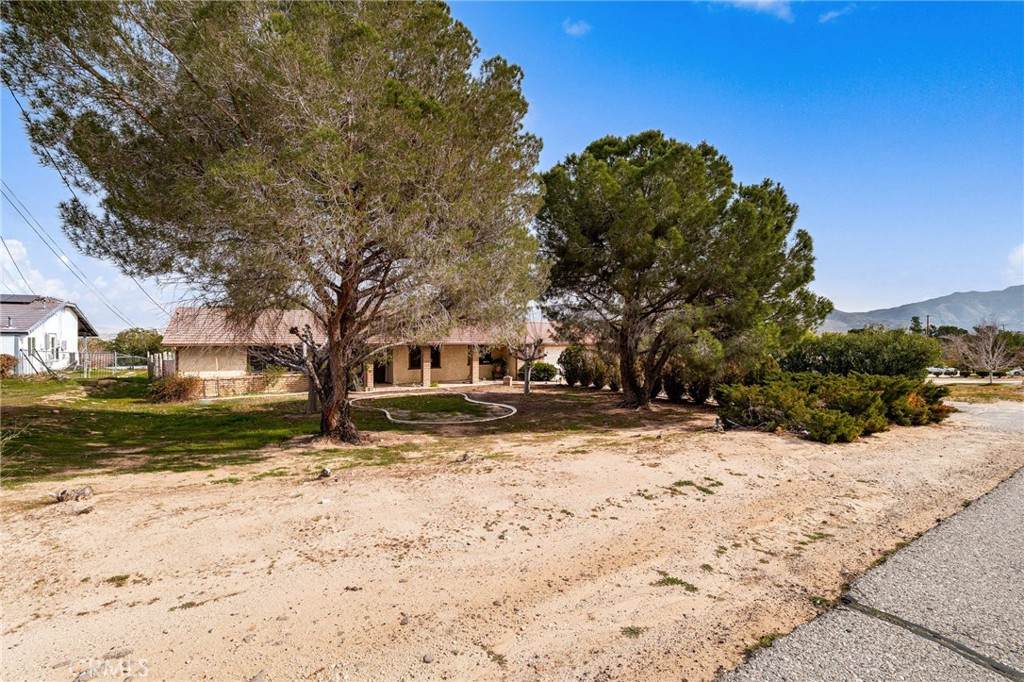 7659 Arcadia Avenue - Photo 1
