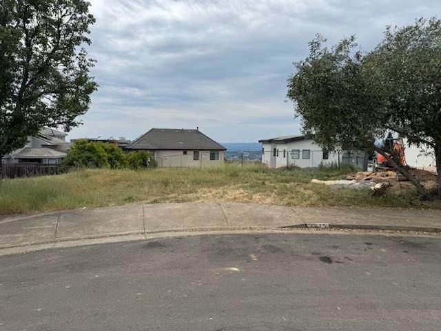 3715 Stanhope Court - Photo 1