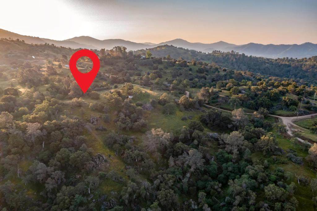 13804205 Pennyroyal Lane - Photo 1