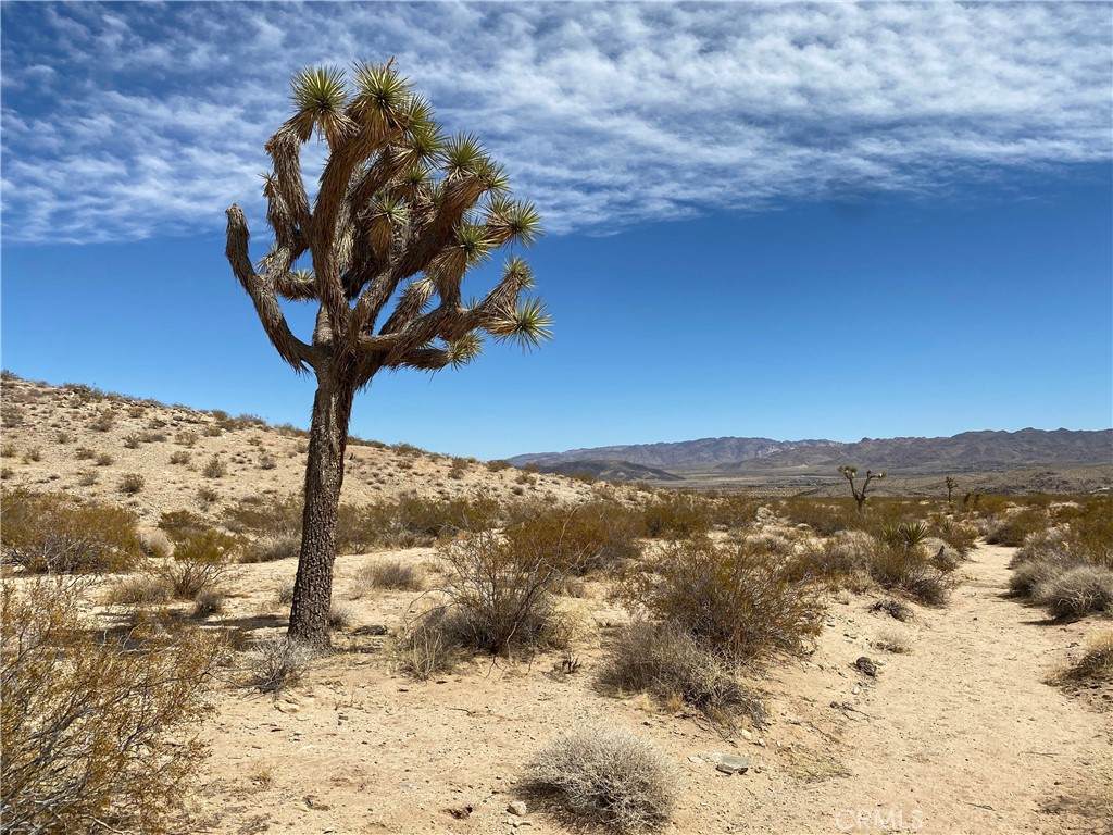 https://bt-photos.global.ssl.fastly.net/socal/orig_boomver_1_421555791-2.jpg