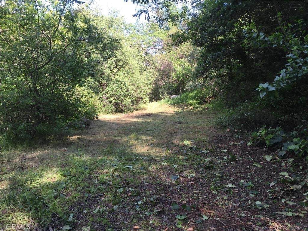 30242 Oak Lane - Photo 1