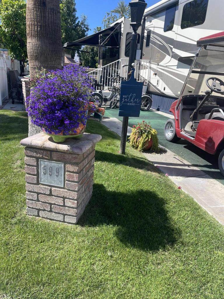 69411 Ramon Road - Photo 1