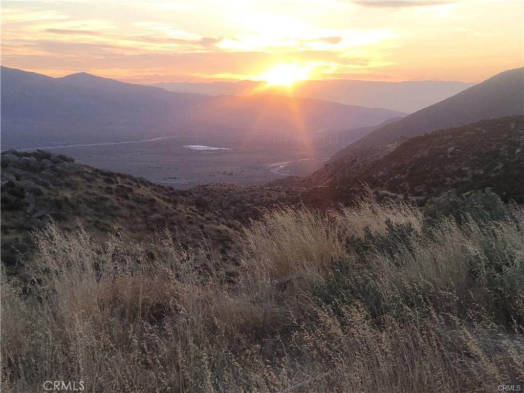 48850 Horse Trail Road - Photo 1