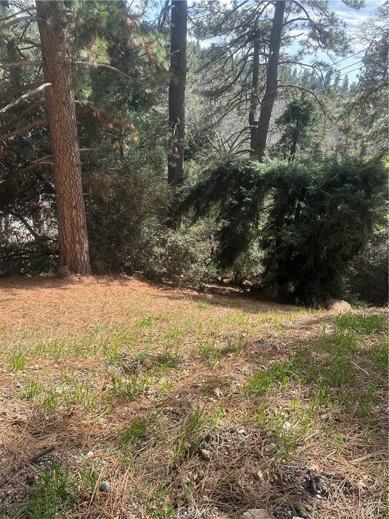 0 Fern Canyon - Photo 1