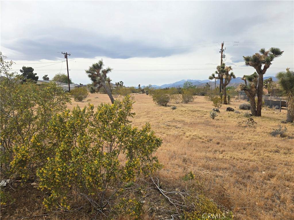 7414 Alaba Avenue - Photo 1