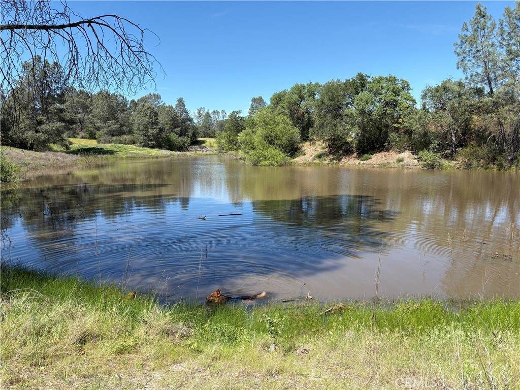 705 Calf Canyon - Photo 1