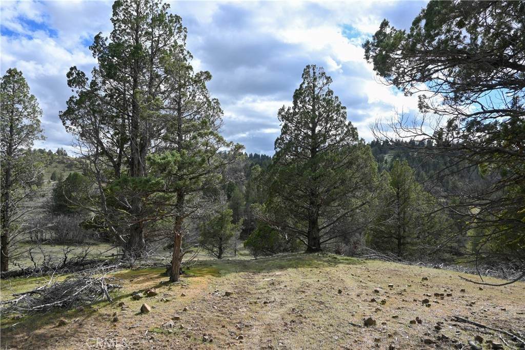 0 Willit Way - Photo 1