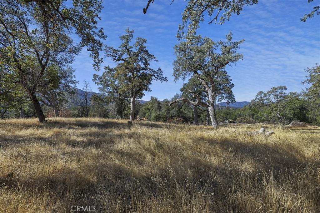 0 39.29 AC Village Drive - Photo 1
