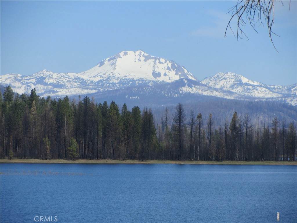 115 Lake Almanor West Drive - Photo 1