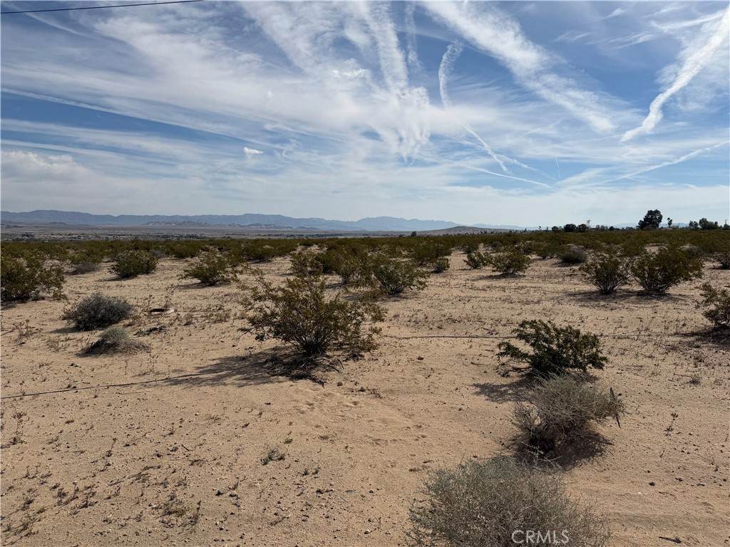 0 Bagdad Highway - Photo 1