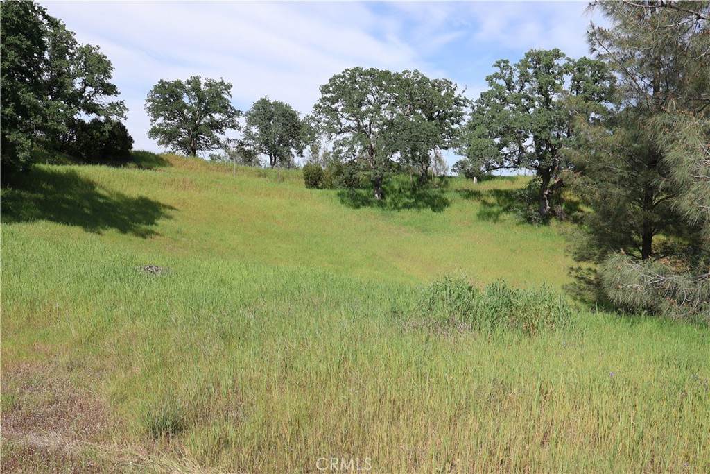 7325 Bluebird Rd. - Photo 1