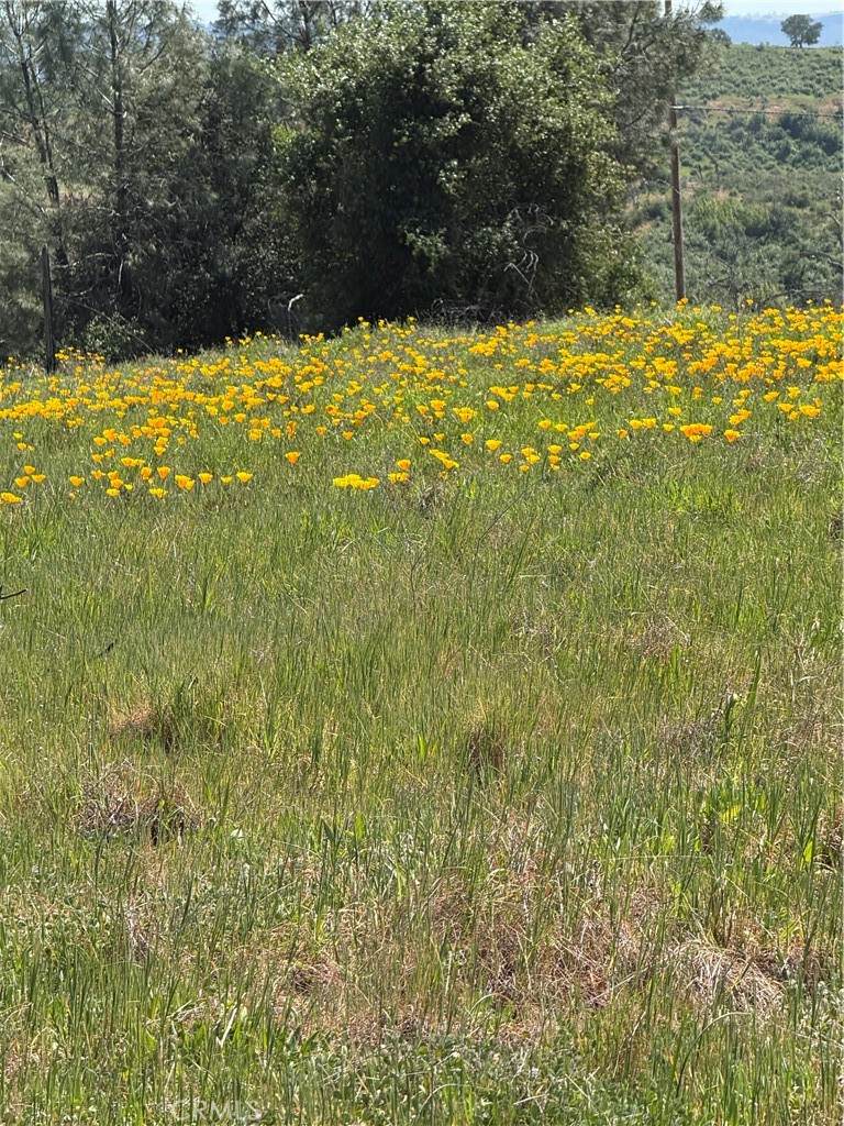 0 Round Valley Ranch Road - Photo 1