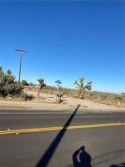 57031 Buena Vista - Photo 1