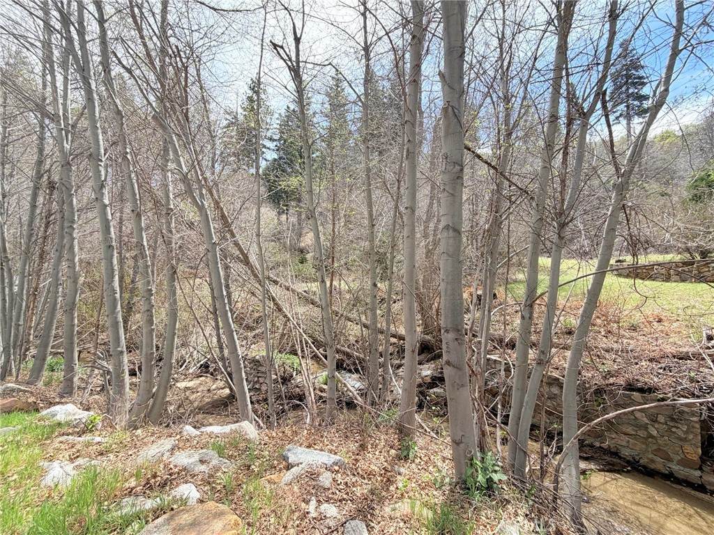 29949 Hook Creek - Photo 1