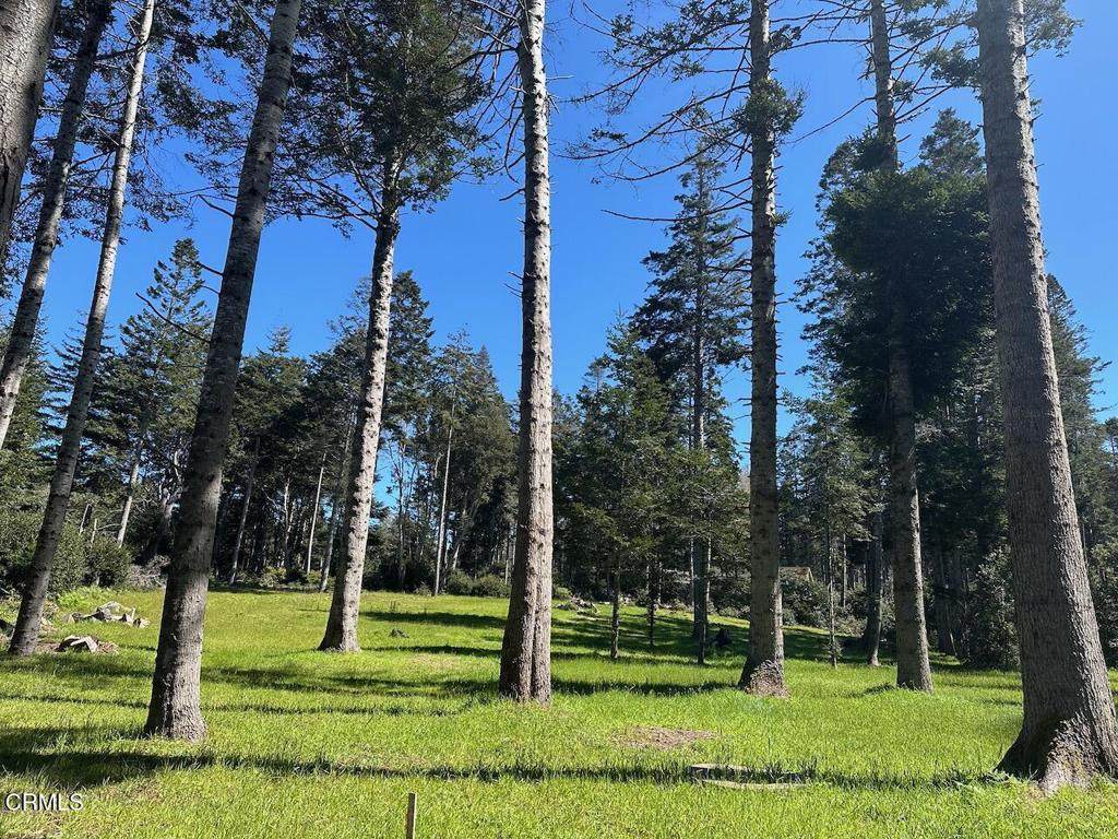 26555 Highway 1 - Photo 1
