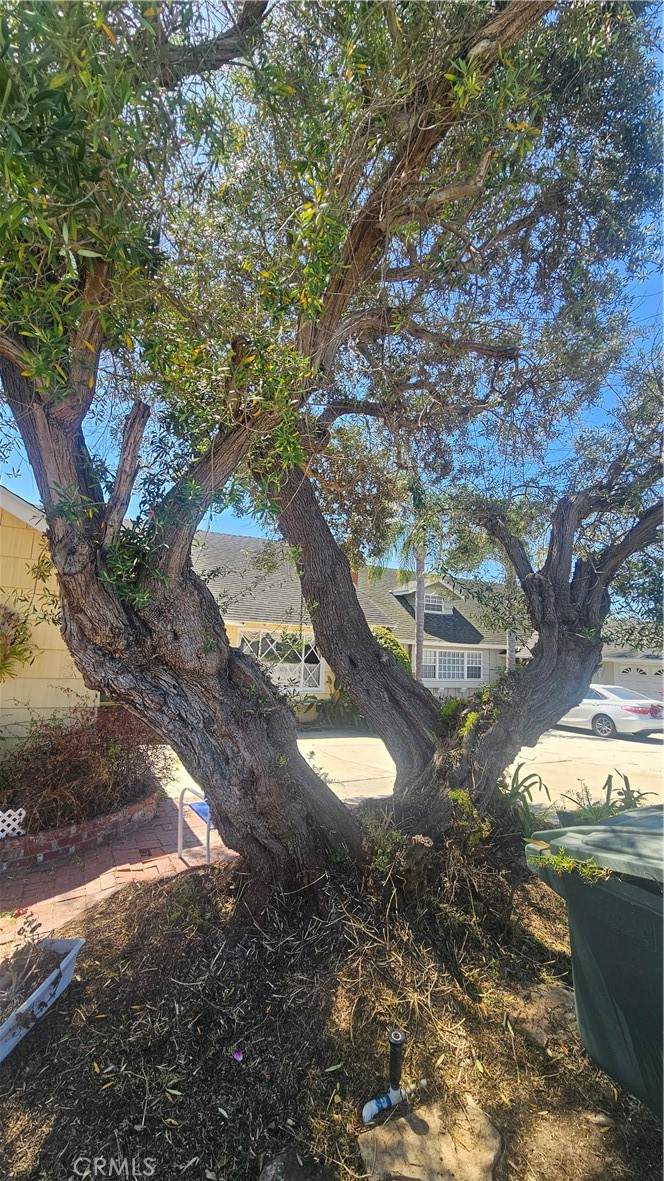 https://bt-photos.global.ssl.fastly.net/socal/orig_boomver_2_422682886-2.jpg