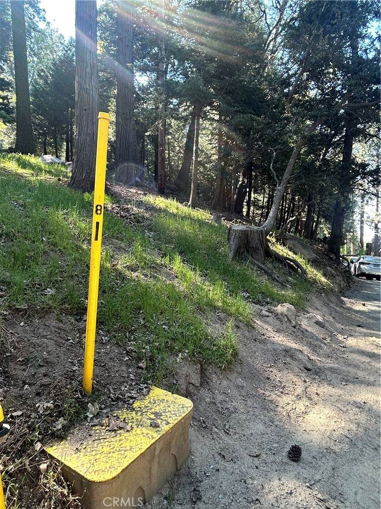 0 Forest Vw, Arrowhead - Photo 1