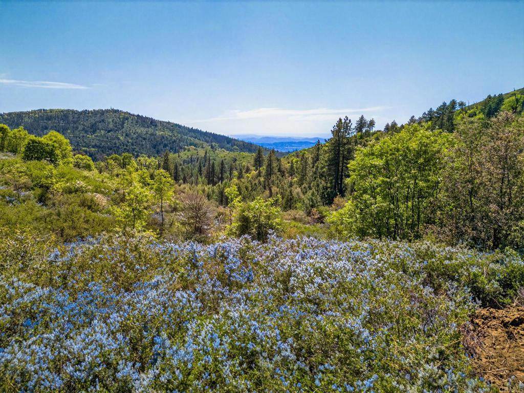 200 +/- Acres Palomar Divide Truck Trail - Photo 1