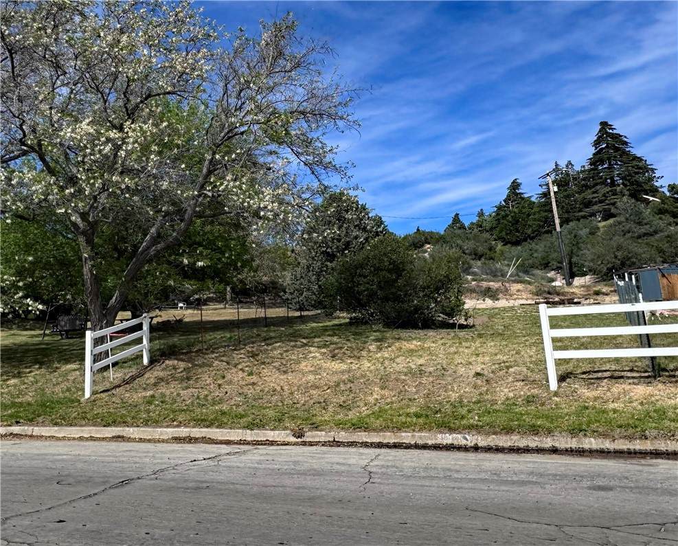 0 Ranch Club Rd & Kiptree Dr - Photo 1
