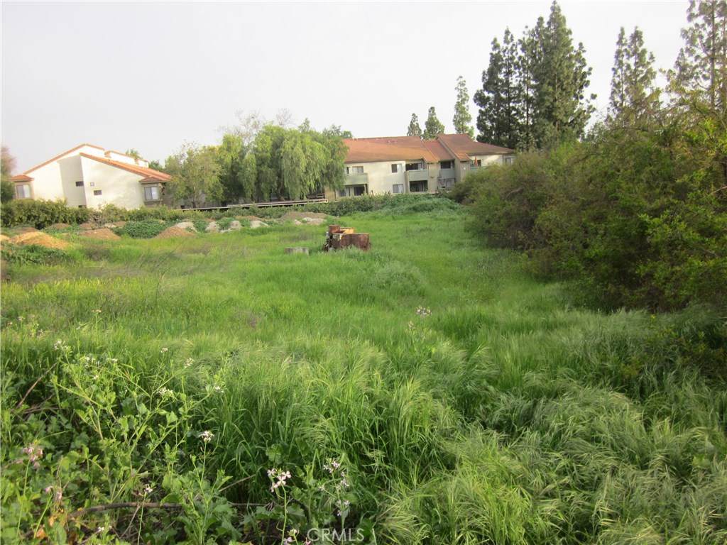 https://bt-photos.global.ssl.fastly.net/socal/orig_boomver_1_422998760-2.jpg