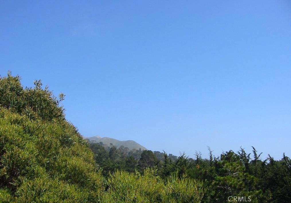 https://bt-photos.global.ssl.fastly.net/socal/orig_boomver_1_423085496-2.jpg