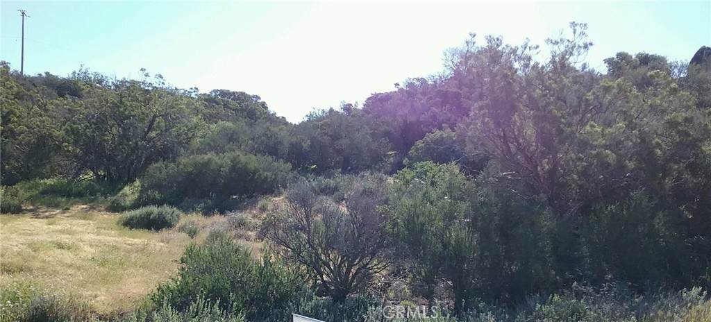 0 Lake Canyon - Photo 1