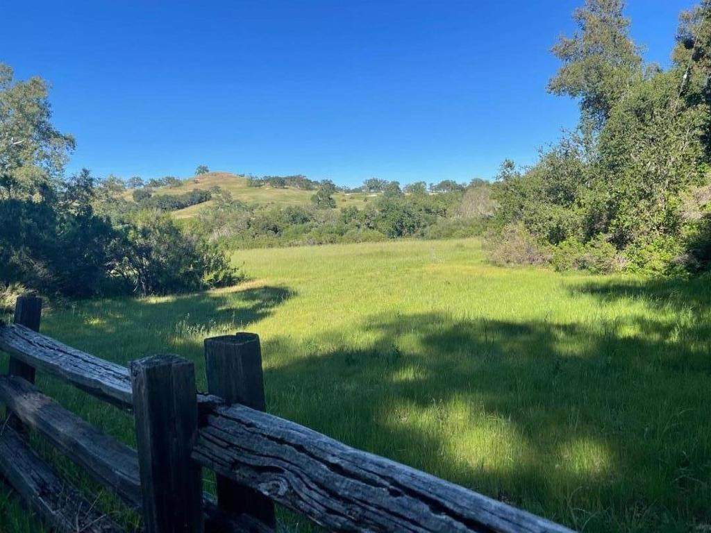 34222 Robinson Canyon Road - Photo 1
