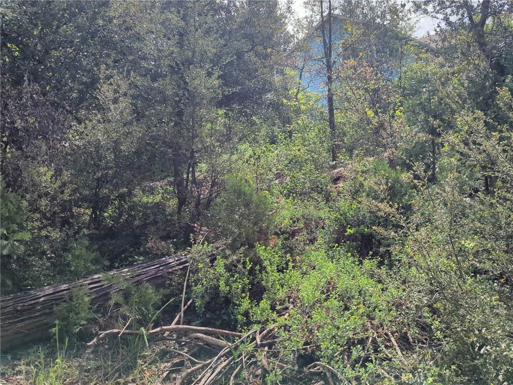 53309 Road 432 - Photo 1