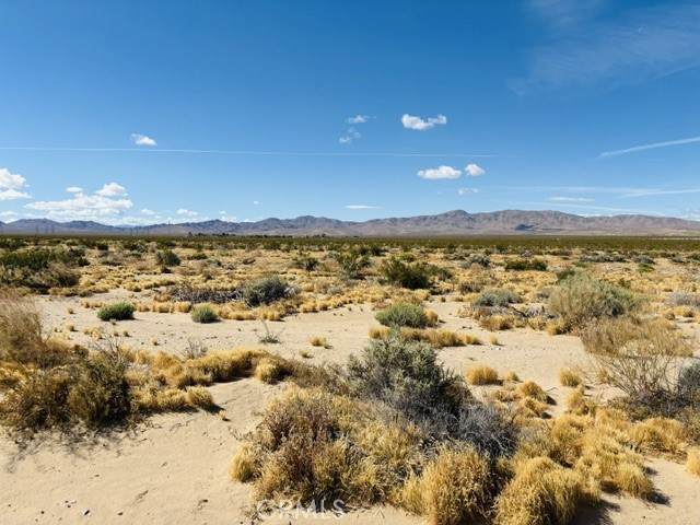 0 041734203 - Photo 1