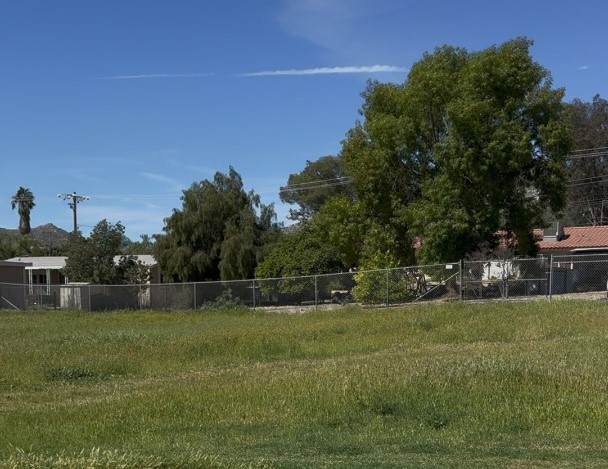 33580 Catlin - Photo 1