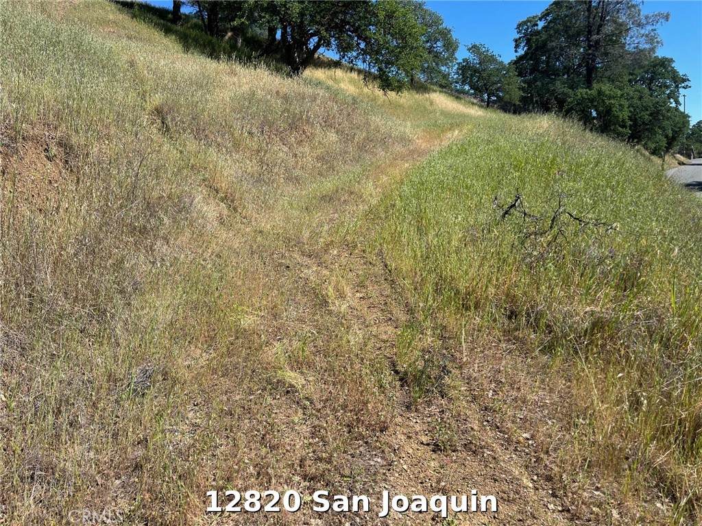 12820 San Joaquin - Photo 1
